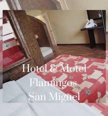 Auto Hotel Flamingos San Miguel