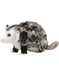 Pin On Zarombiste I To Hce