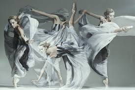 Image result for art of movement