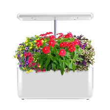We did not find results for: Aerogarden Mini Hydroponic Systems Led Lights Planter Indoor Growing China Led Grow Lights Led Light Made In China Com