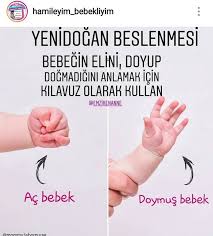 Alinti Alinti Yenidogan Bakimi Bebek Besleme Bebek Sagligi