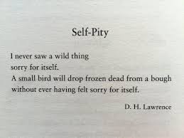 Self Pity Quotes