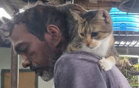 30.07.2025 Heron Lisbon, Portugal 🇵🇹