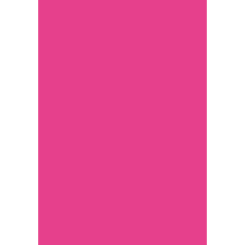 Le prix de vente correspond à une rame de 240 feuilles. Papier Rose Fushia Pollen Clairefontaine A4 120 Gr 5 Feuilles Mille Et Une Feuilles