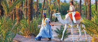 Ride a camel around the huge palm trees of the marrakech palmeraie to experience the oasis from a different perspective. Marrakech Camel Rides 32 Camel Riding Tours In Marrakech