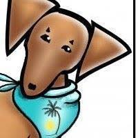 Adopt dachshund dogs in georgia. Dachshund Rescue South Florida Home Facebook