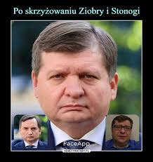 @zbigniewstonogaoficjalnie szkoda strzępić ryja naprawdę. Po Skrzyzowaniu Ziobry I Stonogi Demotywatory Pl