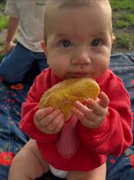 High protein, veggie-packed skillet that has the flavors of a summer  lasagna all made in one pan!! So good and so satisfying 1 tbsp olive oil 1  zucchini, diced 1 yellow squash,