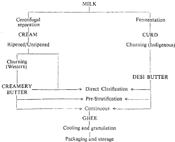 How To Manufacture Ghee Process Methods Packaging And Storage