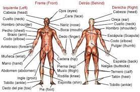 Medical Spanish Tips For Physical Therapists Physical Therapy Learning Spanish Vocabulary Teaching Spanish How To Speak Spanish