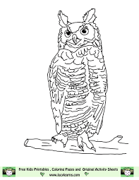 Great horned owl coloring page. Easy Great Horned Owl Coloring Page Novocom Top