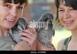 Lydia baby hi-res stock photography and images