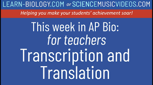 These frequencies will also remain constant for future generations. Weekly Planning Emails 2020 21 Sciencemusicvideos