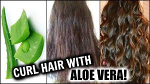 Flaxseeds are rich in fatty acids (omega 3 and 6) that make hair healthier. Curl Hair With Aloe Vera Natural Hair Curling Gel At Home W Results Hair Hack Youtube
