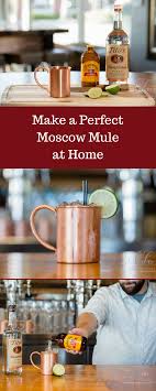 Make An Amazing Moscow Mule At Home Here S The Perfect Recipe For An Easy And Delicious Moscow Mule Get Your Moscow Mule Drink Recipes Mule Recipe Fun Drinks