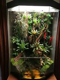 78d8f86c0e8c842f99ab2b3f0d8728c8 Jpg 720 960 Pixeles Paludario Terrarios Jardines