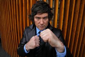 Who is Javier Milei, Argentina's president-elect?