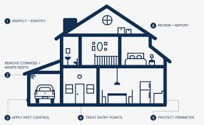 During this inspection a certified technician canvases the interior and exterior of your home. Home Team Grill Logo Hd Png Download Transparent Png Image Pngitem