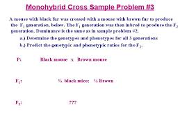 Before completing today's assignment watch this online video on genetics: Mendelian Genetics Inheritance Lecture Notes Biol 100 K