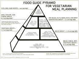 1997 Ada Position Paper On Vegetarianism Pyramid The