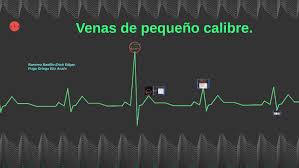 Venas de pequeño calibre. by erick edgar ramirez badillo