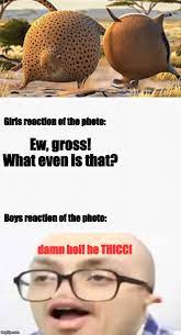 Damn He Thicc Memes Gifs Imgflip