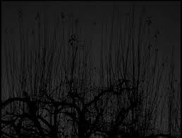 Gambar kaos polos warna hitam depan belakang distributor. Latar Belakang Dekstop Abu Abu Dan Hitam Grey Wallpaper Grey Wallpaper Background Black And Grey Wallpaper