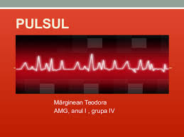 Ppt Pulsul Teo Mărginean Academia Edu