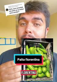 Preventa curso de paltas: Emprendimiento y negocio