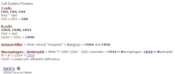 pin by karina torres on med mnemonics surface t cell b cell