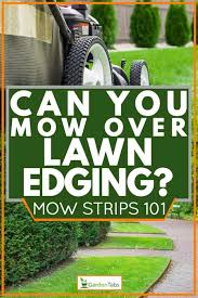 Pavers come in many styles: Can You Mow Over Lawn Edging Mow Strips 101 Garden Tabs