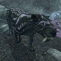 Skyrim:Sabre Cat - The Unofficial Elder Scrolls Pages (UESP)