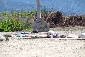 Could The Atascadero Rock Snake Earn A Guinness World Record? • Paso Robles  Press