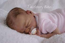 Thistleberry Babies Full Body Solid Silicone Baby Girl Beautifully Reborn Silicone Reborn Babies Baby Girl Dolls Silicone Babies