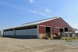 Cattle in the three confinement barns had larger ribeye areas and more finish at a given final weight than cattle in the open lot or conventional facility. Livestock Pole Barns Walters Buildings