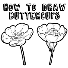 Look at this little anime cutie. How To Draw Flowers Archives How To Draw Step By Step Drawing Tutorials