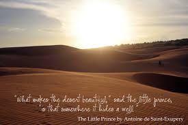 Inspiration By John A Twitter What Makes The Desert Beautiful Is That Somewhere It Hides A Well Antoine De Saint Exupury Nature Deserts Https T Co Juttm7x7gj Twitter