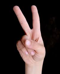 Image result for hand peace sign