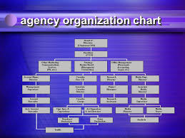 Advertising Agencies What Agencies Do Structure