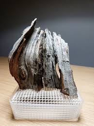 New Nano Vivarium Newbie Design Questions Dendroboard Vivarium Aquascape Design Planted Aquarium