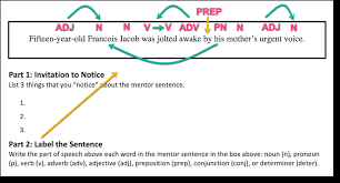 Mastering Grammar With Mentor Sentences Part 2 Scholastic