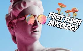 First Flush Mycology