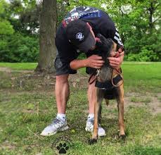 Veteran S Family Gives Back After Service Dog Makes A Big Difference Service Dogs Up Dog Dogs