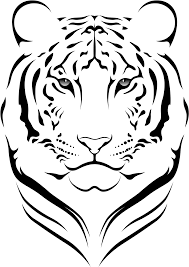 Drawing & painting courses on my website: Download Large Size Of How To Draw A Realistic Baby Tiger Cute Tribal Tattoo Tiger Png Image With No Background Pngkey Com