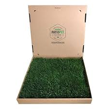 We did not find results for: Doggielawn Vs Fresh Patch Best Real Grass Dog Potty 2021