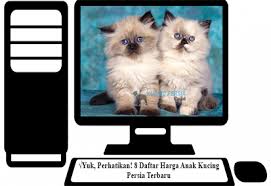 Bahkan kucing jenis ini merupakan salah satu kucing yang di cari oleh komunitas pecinta binatang lucu. Yuk Perhatikan 8 Daftar Harga Anak Kucing Persia Terbaru