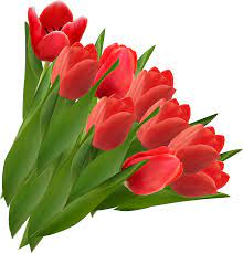 Pin By Ladyt On Flowers Vector Flowers Flower Clipart Flower Png Images