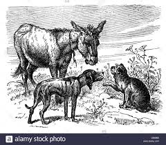 Download This Stock Image Literature Fairytale Brothers Grimm Town Musicians Of Bremen Donkey Dog Kinder Und Hausmarchen Brothers Grimm Bremen Musicians