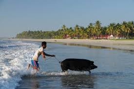 Check spelling or type a new query. Reisebericht Ngwe Saung Bizarre Erlebnisse An Myanmars Topstrand Wo Der Pfeffer Wachst Reisen Und Speisen