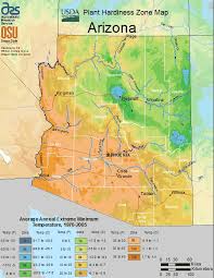 usda zones for plants trees in arizona